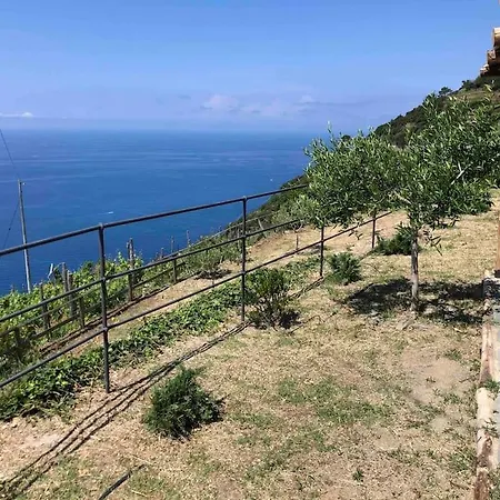 Villa Orangehouse Cinque Terre. Private Parking Riomaggiore Exterior foto